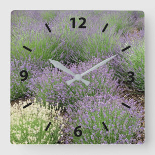 Lovely Lavender Vierkante Klok