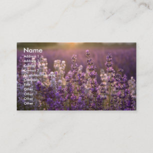 Lovely Lavender Visitekaartje