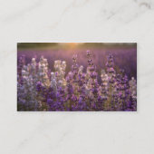 Lovely Lavender Visitekaartje (Achterkant)