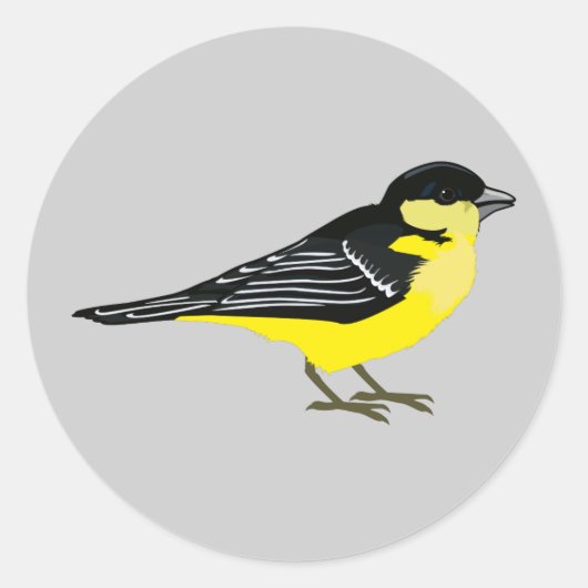 Lovely Lesser Goldfinch Ronde Sticker (Voorkant)
