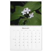 Lovely Lilacs 12-maandelijkse kalender (Mar 2027)