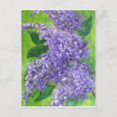 Lovely Lilacs Briefkaart (Voorkant)