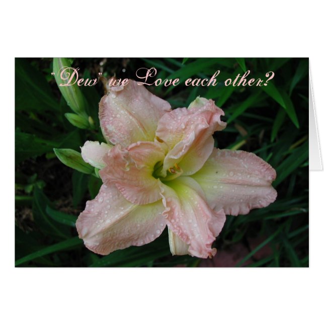 Lovely Lily (Voorkant Horizontaal)