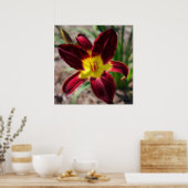 Lovely Lily Poster (Keuken)