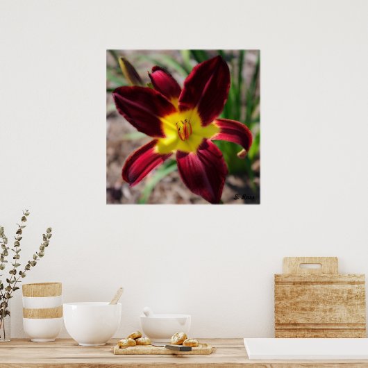 Lovely Lily Poster (Keuken)