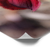 Lovely Lily Poster (Hoek)