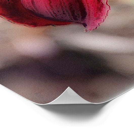 Lovely Lily Poster (Hoek)