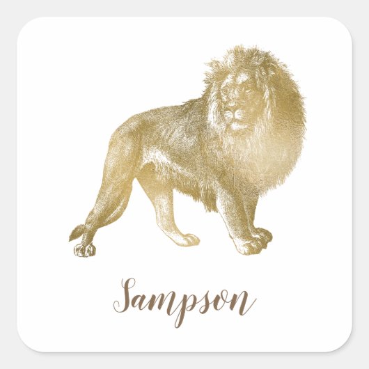 Lovely Lion Vierkante Sticker (Voorkant)