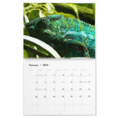 Lovely Lizards Kalender (Feb 2026)