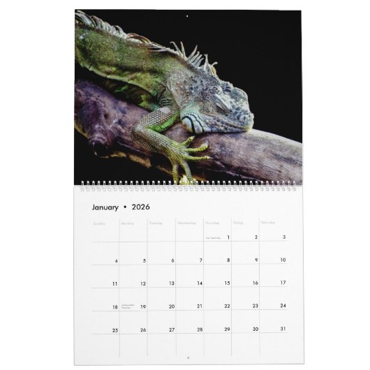 Lovely Lizards Kalender (Jan 2026)