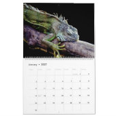 Lovely Lizards Kalender (Jan 2027)