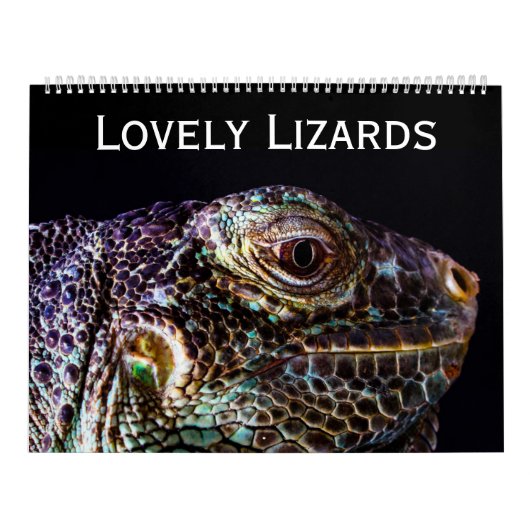 Lovely Lizards Kalender (Hoes)