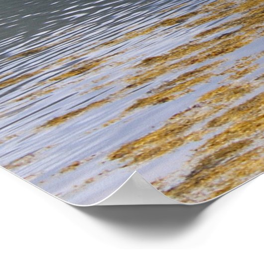 Lovely Loch Sunart, Schotland Poster (Hoek)