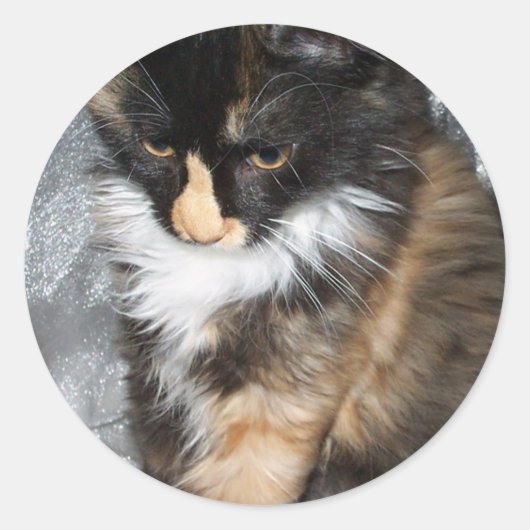 Lovely Lucy Bell Ronde Sticker (Voorkant)