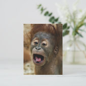 Lovely Orang baby Briefkaart (Staand voorkant)