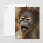 Lovely Orang baby Briefkaart (Voorkant / Achterkant)