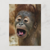 Lovely Orang baby Briefkaart (Voorkant)