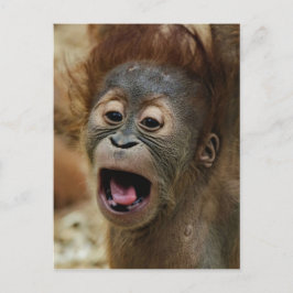Lovely Orang baby Briefkaart