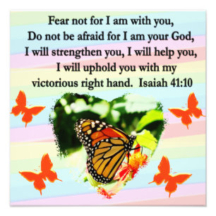 LOVELY ORANJE BUTTERFLY ISAIAH 41:10 ONTWERP FOTO AFDRUK