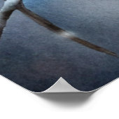 Lovely Owl Poster (Hoek)