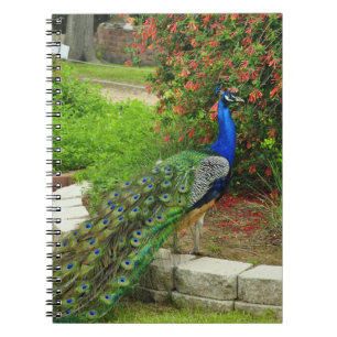 Lovely Peacock- en Flowers-laptop Notitieboek