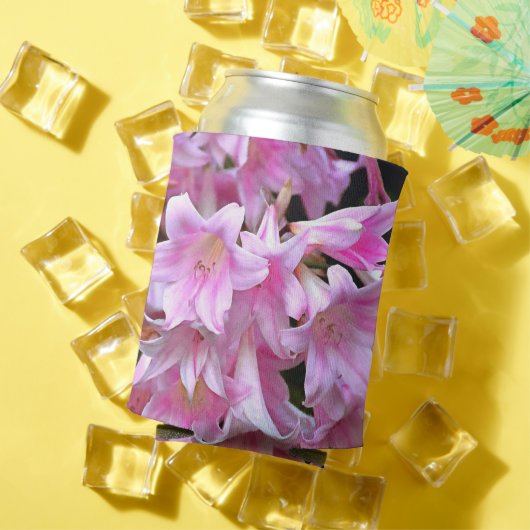 Lovely Pink Belladonna Amaryllis Lilies Blikjeskoeler (Insitu Zomer)