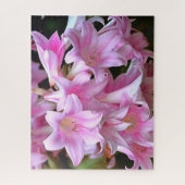 Lovely Pink Belladonna Amaryllis Lilies Legpuzzel (Verticaal)