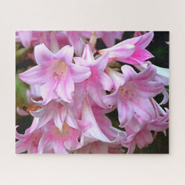 Lovely Pink Belladonna Amaryllis Lilies Legpuzzel