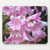 Lovely Pink Belladonna Amaryllis Lilies Muismat (Voorkant)