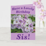 Lovely Pink Floral Birthday Card for Sis Kaart<br><div class="desc">Floral birthday card for Sis featuring beautiful purple Primula flowers. Text can easily be personalised as wished.</div>