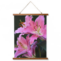 Lovely Pink Lily Blooms Floral