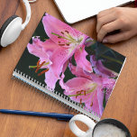 Lovely Pink Lily Blooms Floral Planner<br><div class="desc">Deze maandelijkse/wekelijkse kalender-planner houdt al uw toekomstige activiteiten en programma's in één,  handige plaats georganiseerd en kenmerkt het foto-afbeelding van prachtige,  roze Oriental Lily-bloei aan beide zijden. Een mooi,  bloemetjesontwerp! Selecteer de kleur van de plannerdraad.</div>