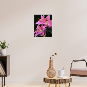 Lovely Pink Lily Blooms Floral Poster