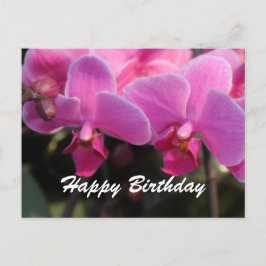 Lovely pink orchid flowers. Birthday wishes Briefkaart
