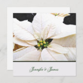 Lovely Poinsettia Wedding Uitnodiging (Voorkant / Achterkant)