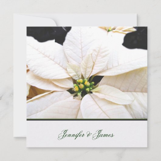 Lovely Poinsettia Wedding Uitnodiging (Voorkant)