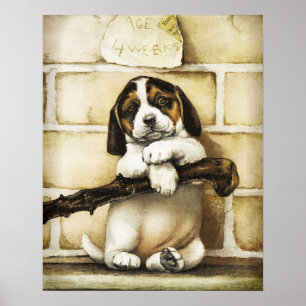 Lovely Puppy Poster