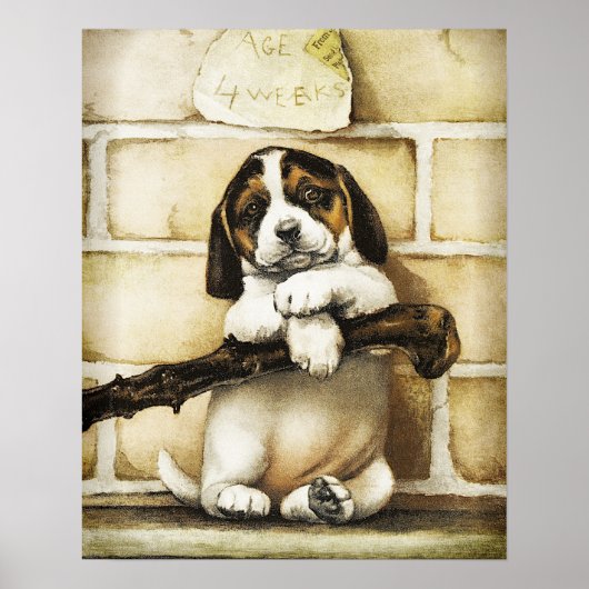 Lovely Puppy Poster (Voorkant)