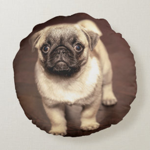 Lovely Puppy Pug, Dog, Pet, Animal Rond Kussen