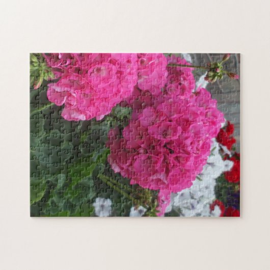 Lovely Red Geraniums Legpuzzel (Horizontaal)