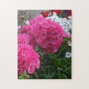 Lovely Red Geraniums Legpuzzel