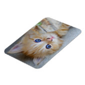 Lovely Red Tabby Kitten Magneet (Linkerzijde)