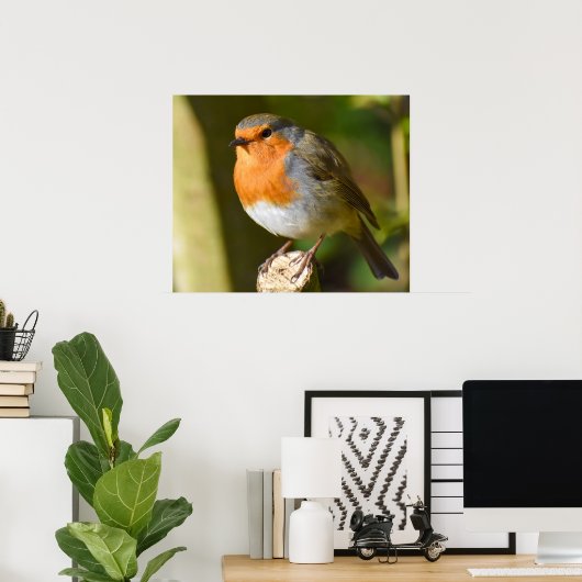 Lovely Robin Poster (Thuiskantoor)