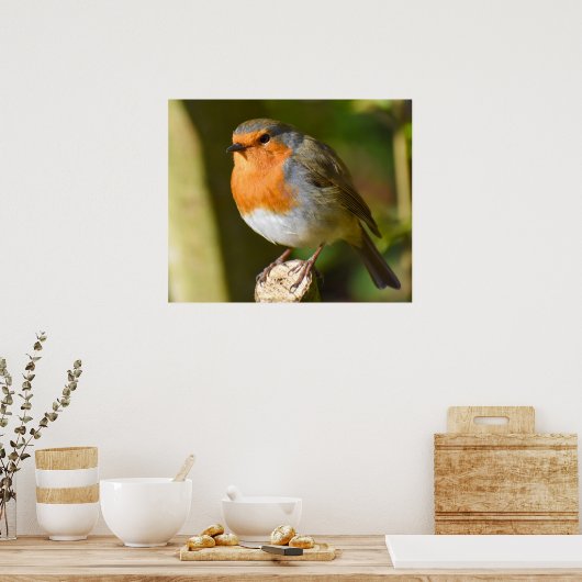 Lovely Robin Poster (Keuken)