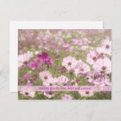 Lovely roze Fuchsia Cosmos Flower Field Sunlight Briefkaart (Voorkant / Achterkant)