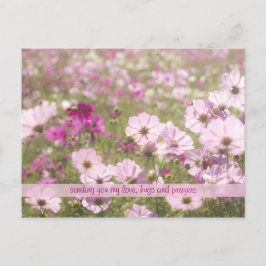Lovely roze Fuchsia Cosmos Flower Field Sunlight Briefkaart
