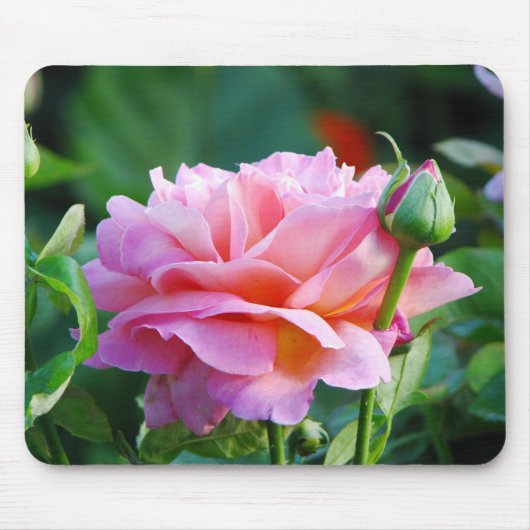 Lovely Roze Rose Mousepad Muismat (Voorkant)