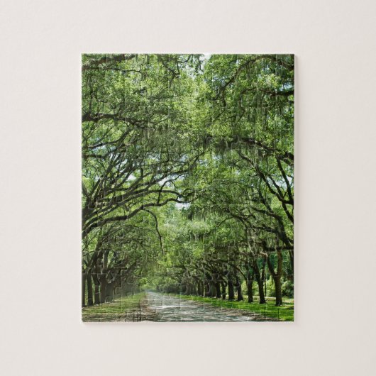 Lovely Savannah Georgia Legpuzzel (Verticaal)