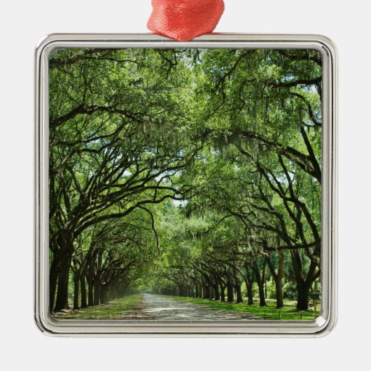 Lovely Savannah Georgia Metalen Ornament (Voorkant)