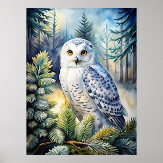 Lovely Snowy Owl Poster (Voorkant)